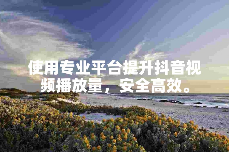 使用专业平台提升抖音视频播放量，安全高效。