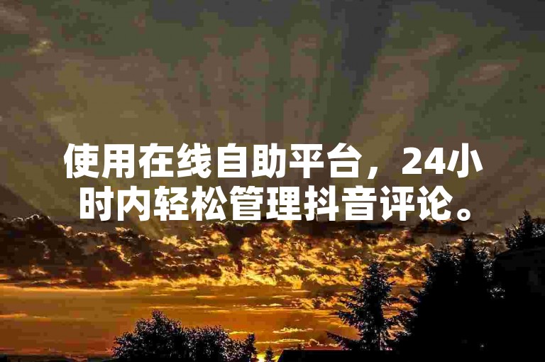 使用在线自助平台，24小时内轻松管理抖音评论。