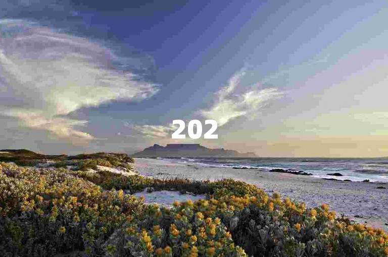 2025拼多多助力互帮团，可加入最新互点群。