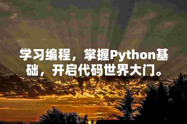 学习编程，掌握Python基础，开启代码世界大门。