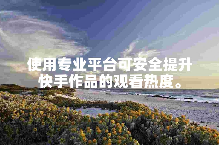 使用专业平台可安全提升快手作品的观看热度。