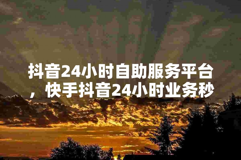 抖音24小时自助服务平台，快手抖音24小时业务秒单。