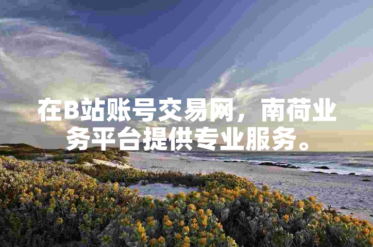在B站账号交易网，南荷业务平台提供专业服务。