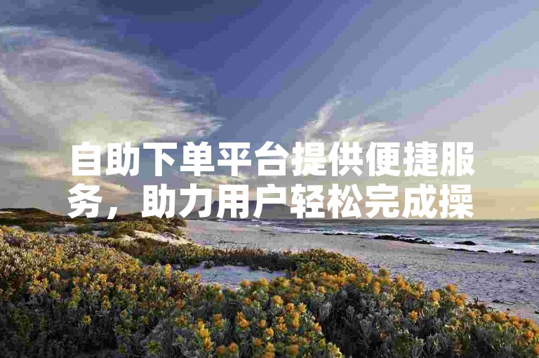 自助下单平台提供便捷服务，助力用户轻松完成操作。