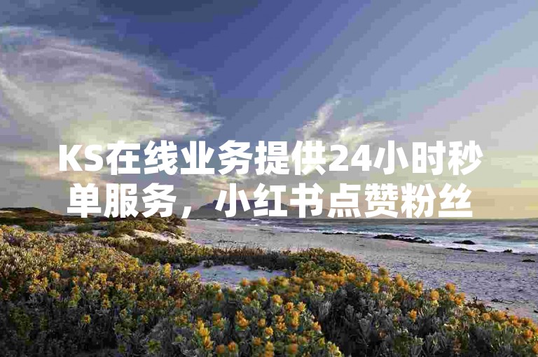 KS在线业务提供24小时秒单服务，小红书点赞粉丝下单平台。