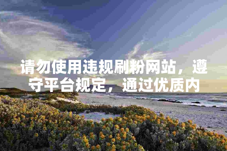 请勿使用违规刷粉网站，遵守平台规定，通过优质内容自然吸引粉丝。