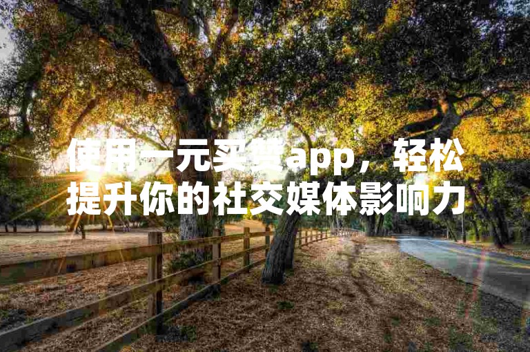 使用一元买赞app，轻松提升你的社交媒体影响力。