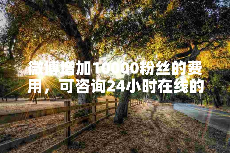 微博增加10000粉丝的费用，可咨询24小时在线的专业团队。