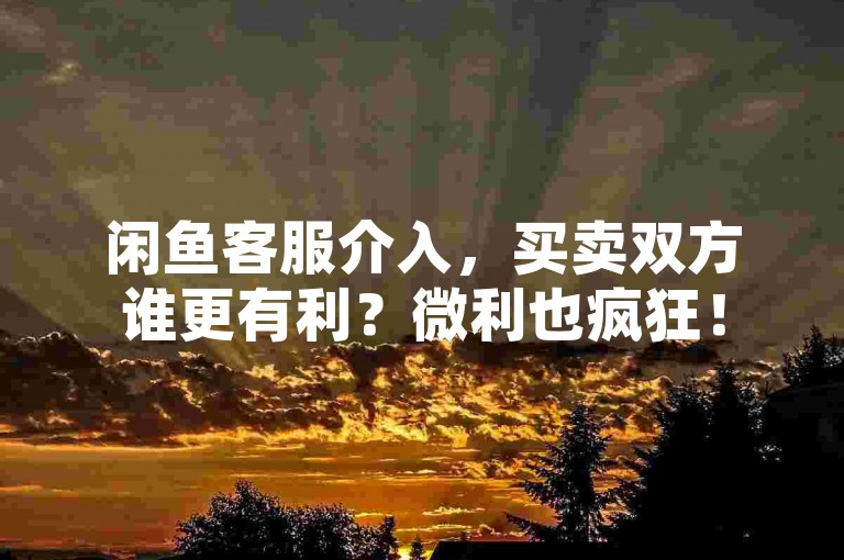 闲鱼客服介入，买卖双方谁更有利？微利也疯狂！