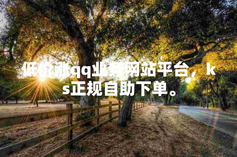 低价涨qq业务网站平台，ks正规自助下单。