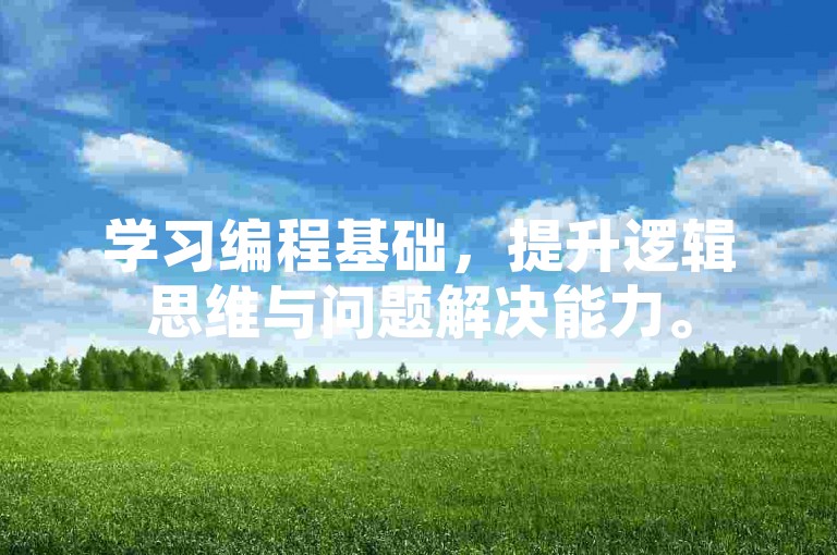 学习编程基础，提升逻辑思维与问题解决能力。