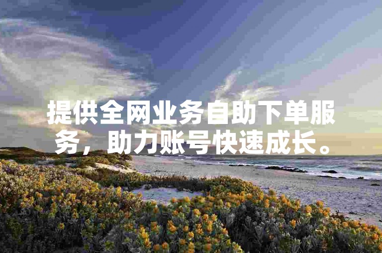 提供全网业务自助下单服务，助力账号快速成长。