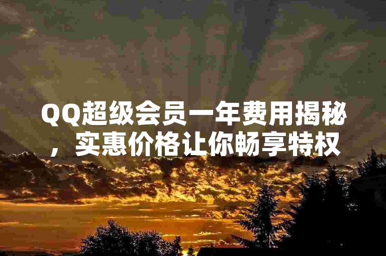QQ超级会员一年费用揭秘，实惠价格让你畅享特权。