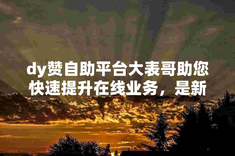 dy赞自助平台大表哥助您快速提升在线业务，是新人的必备之选！