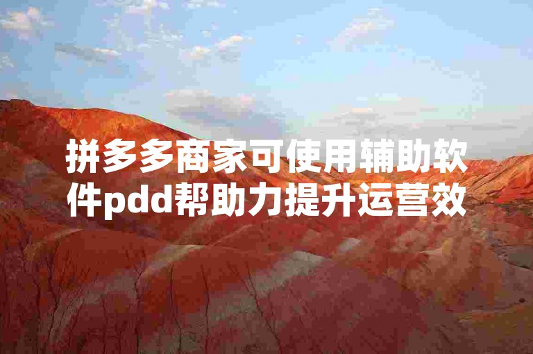 拼多多商家可使用辅助软件pdd帮助力提升运营效率。