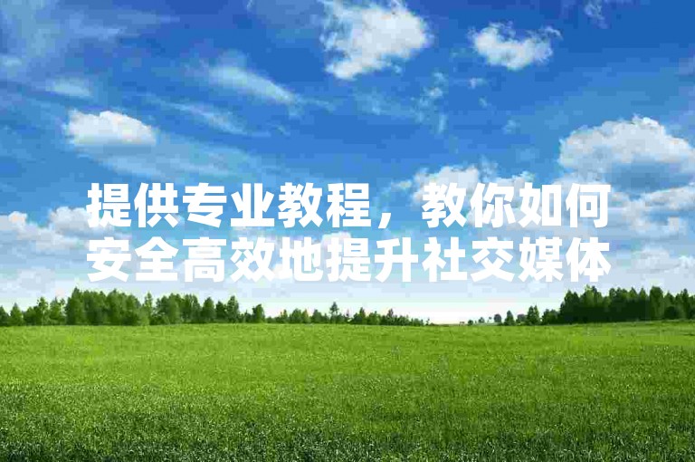 提供专业教程，教你如何安全高效地提升社交媒体影响力。