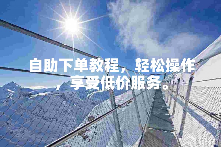 自助下单教程，轻松操作，享受低价服务。