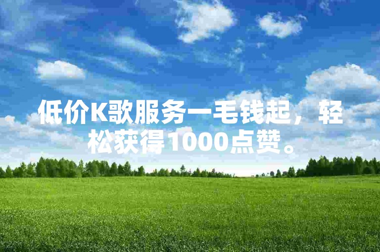 低价K歌服务一毛钱起，轻松获得1000点赞。