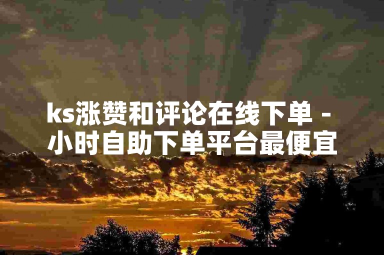 ks涨赞和评论在线下单 - 小时自助下单平台最便宜ks