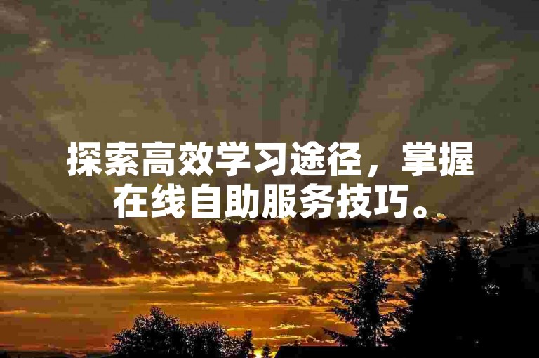 探索高效学习途径，掌握在线自助服务技巧。