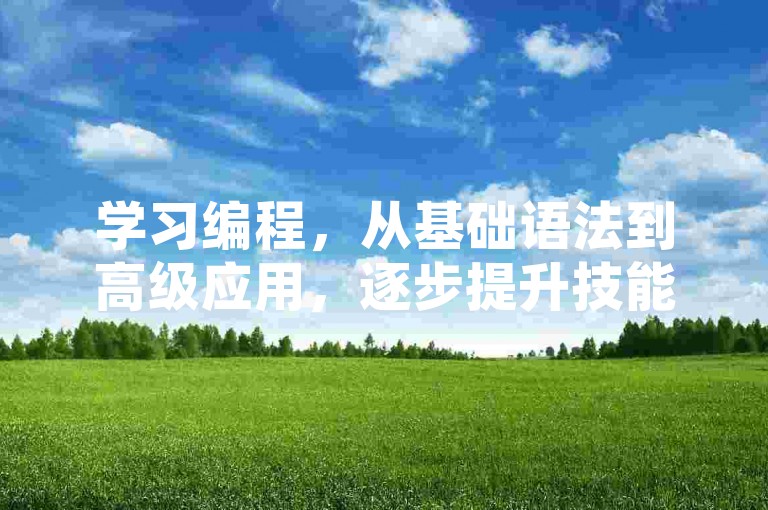 学习编程，从基础语法到高级应用，逐步提升技能。