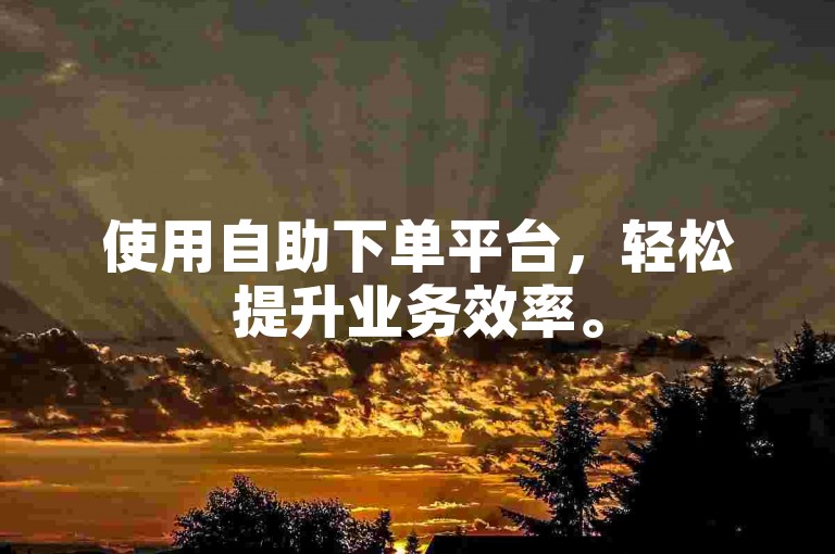 使用自助下单平台，轻松提升业务效率。