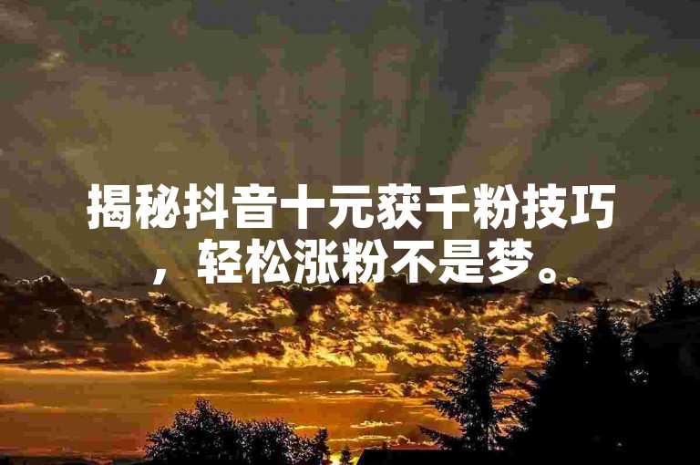 揭秘抖音十元获千粉技巧，轻松涨粉不是梦。