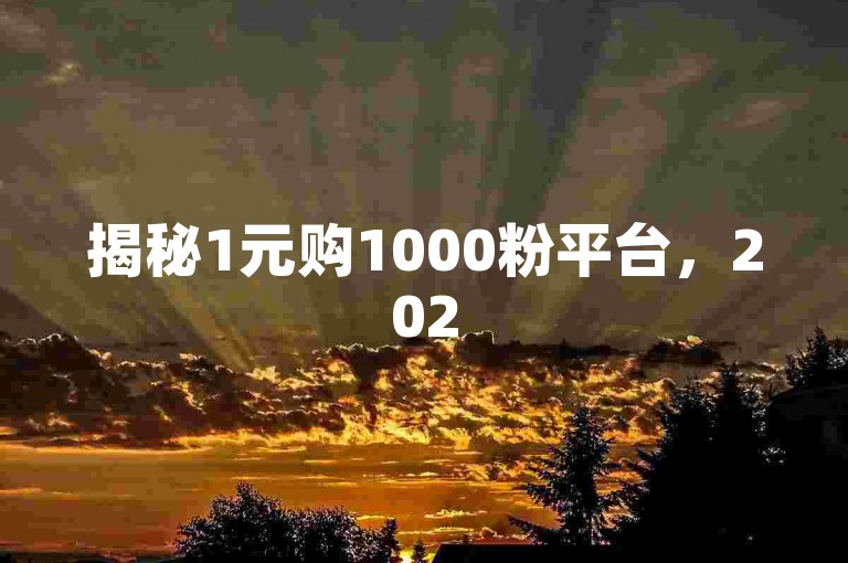 揭秘1元购1000粉平台，2025必备知识！
