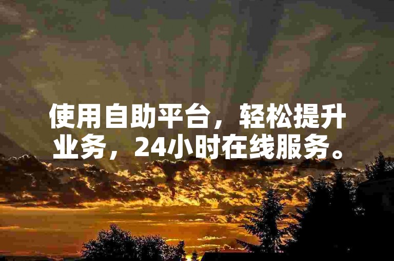 使用自助平台，轻松提升业务，24小时在线服务。