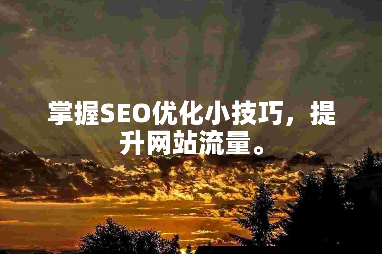 掌握SEO优化小技巧，提升网站流量。