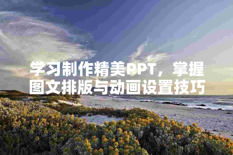 学习制作精美PPT，掌握图文排版与动画设置技巧。