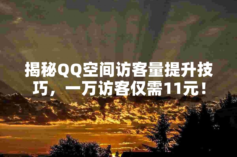 揭秘QQ空间访客量提升技巧，一万访客仅需11元！