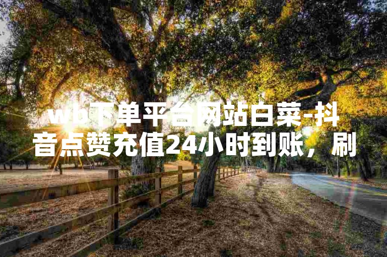 wb下单平台网站白菜-抖音点赞充值24小时到账，刷点赞网址推广免费快手。