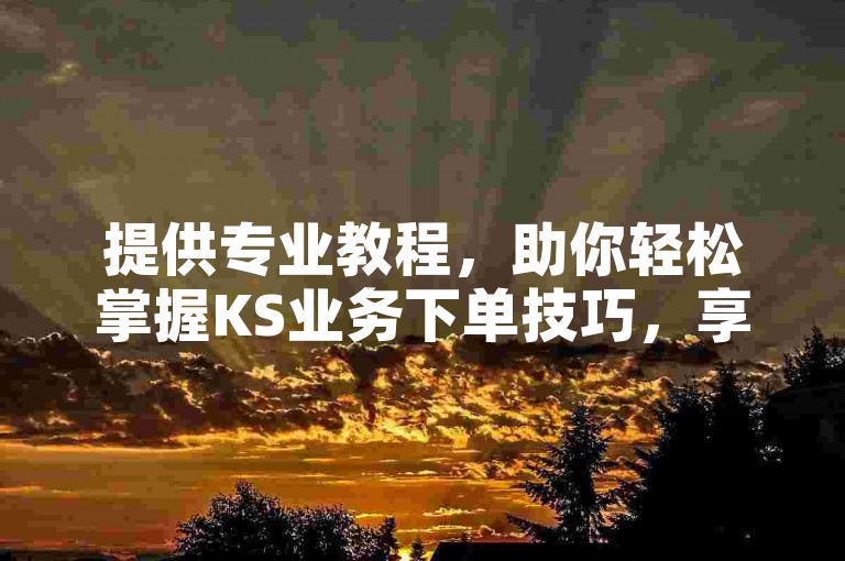 提供专业教程，助你轻松掌握KS业务下单技巧，享受低价优惠。