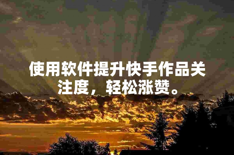 使用软件提升快手作品关注度，轻松涨赞。
