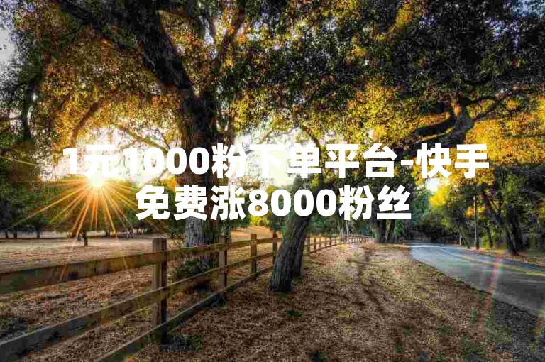 1元1000粉下单平台-快手免费涨8000粉丝