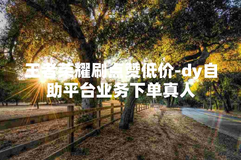 王者荣耀刷点赞低价-dy自助平台业务下单真人