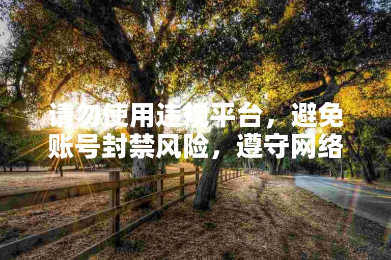 请勿使用违规平台，避免账号封禁风险，遵守网络规范。