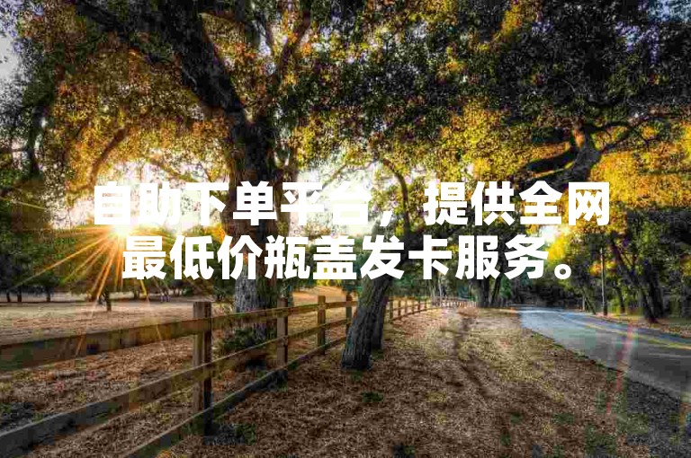 自助下单平台，提供全网最低价瓶盖发卡服务。