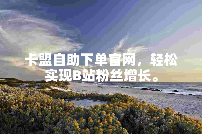 卡盟自助下单官网，轻松实现B站粉丝增长。