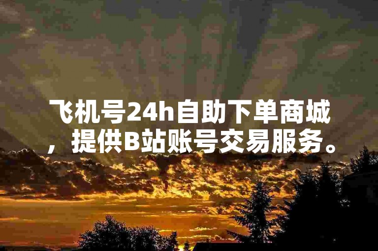 飞机号24h自助下单商城，提供B站账号交易服务。