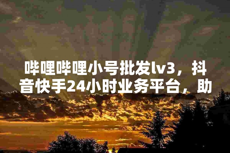 哔哩哔哩小号批发lv3，抖音快手24小时业务平台，助力账号运营。