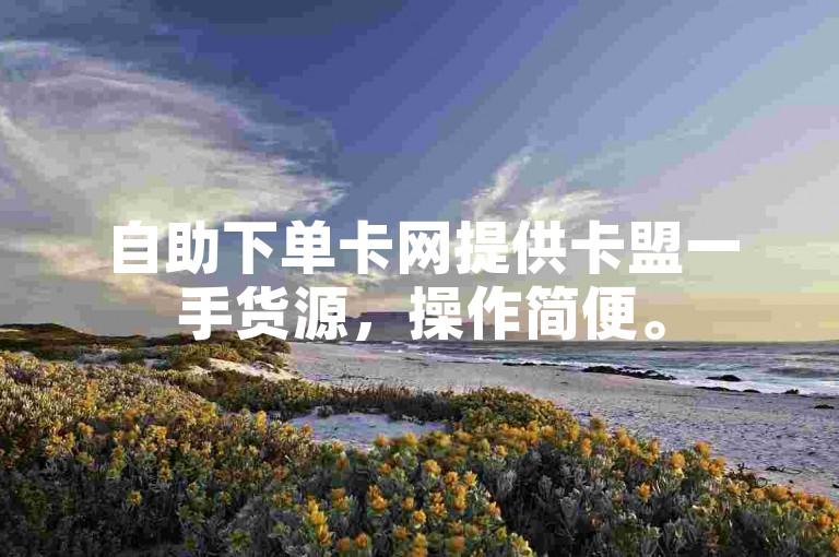 自助下单卡网提供卡盟一手货源，操作简便。