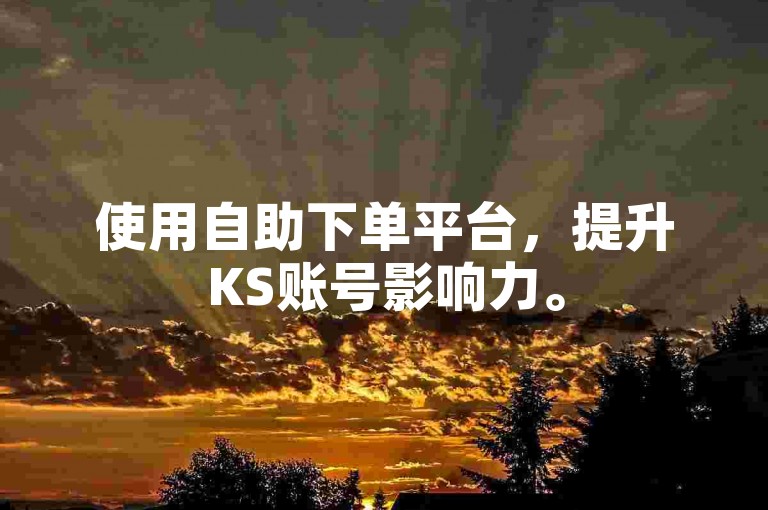 使用自助下单平台，提升KS账号影响力。