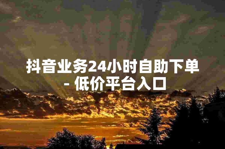 抖音业务24小时自助下单 - 低价平台入口