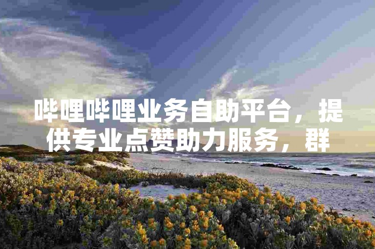 哔哩哔哩业务自助平台，提供专业点赞助力服务，群聚5000人。