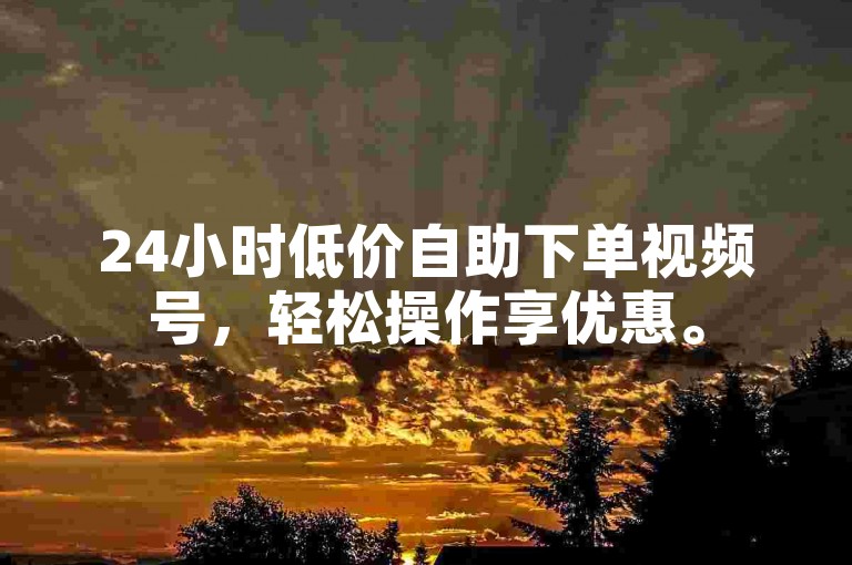 24小时低价自助下单视频号，轻松操作享优惠。