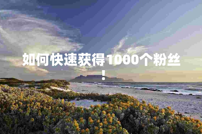 如何快速获得1000个粉丝！