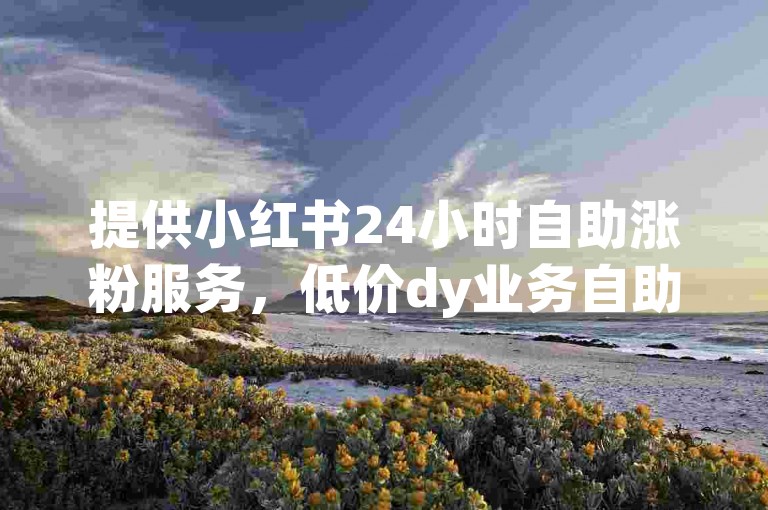 提供小红书24小时自助涨粉服务，低价dy业务自助下单平台。
