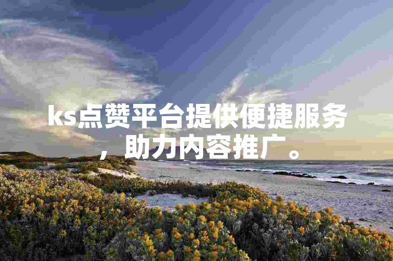 ks点赞平台提供便捷服务，助力内容推广。